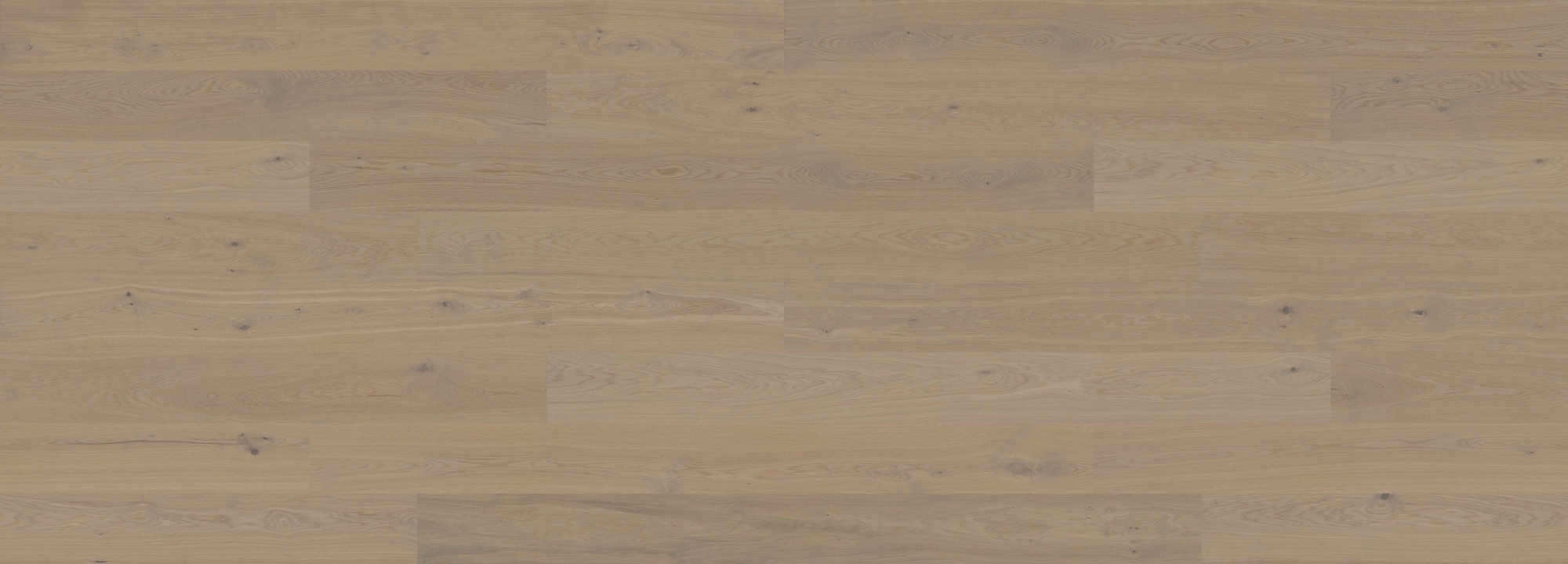 Lame de parquet hybride Bjelin Woodura Stehag chêne Earth Grey