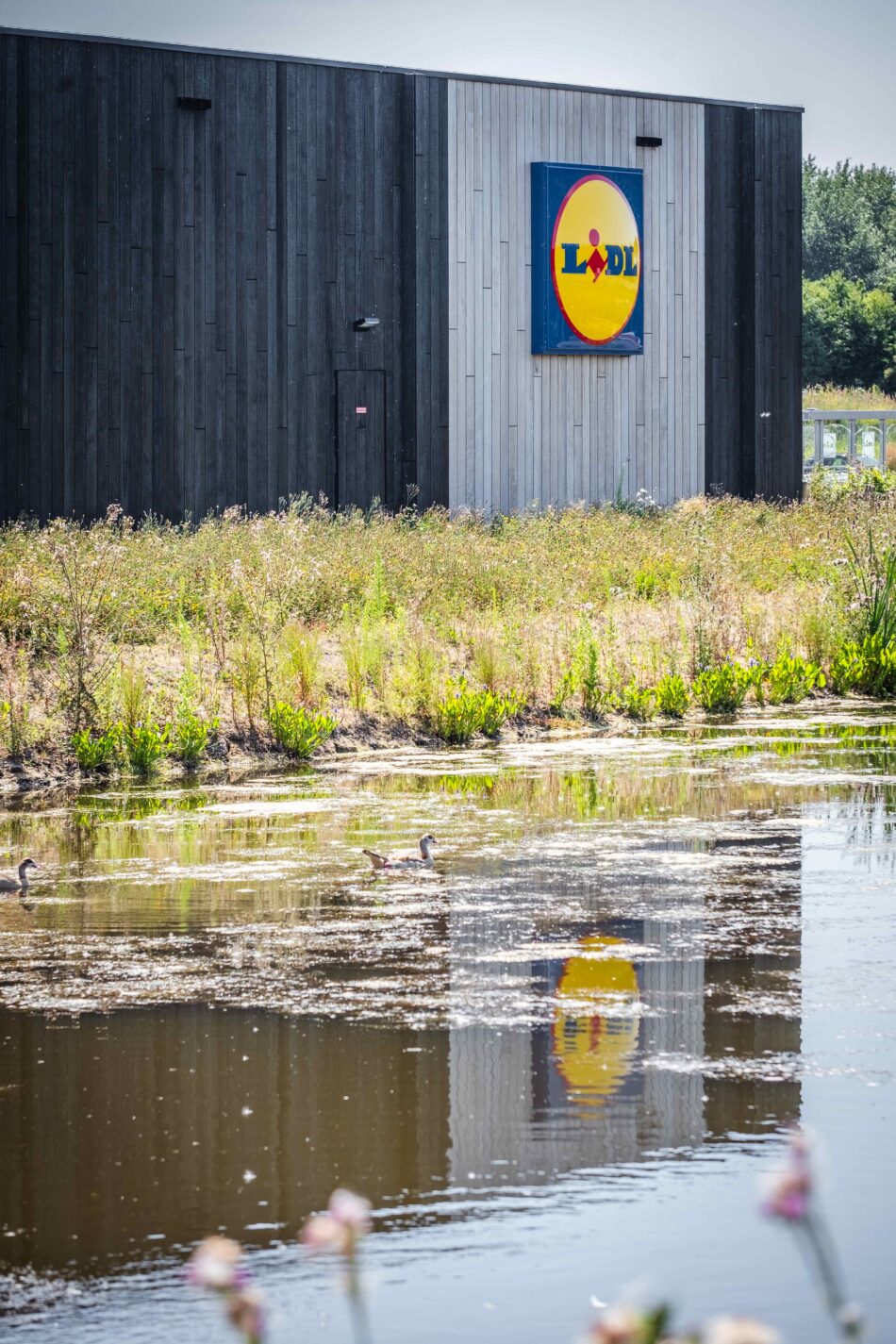 Lidl Zéro : un magasin neutre en CO2