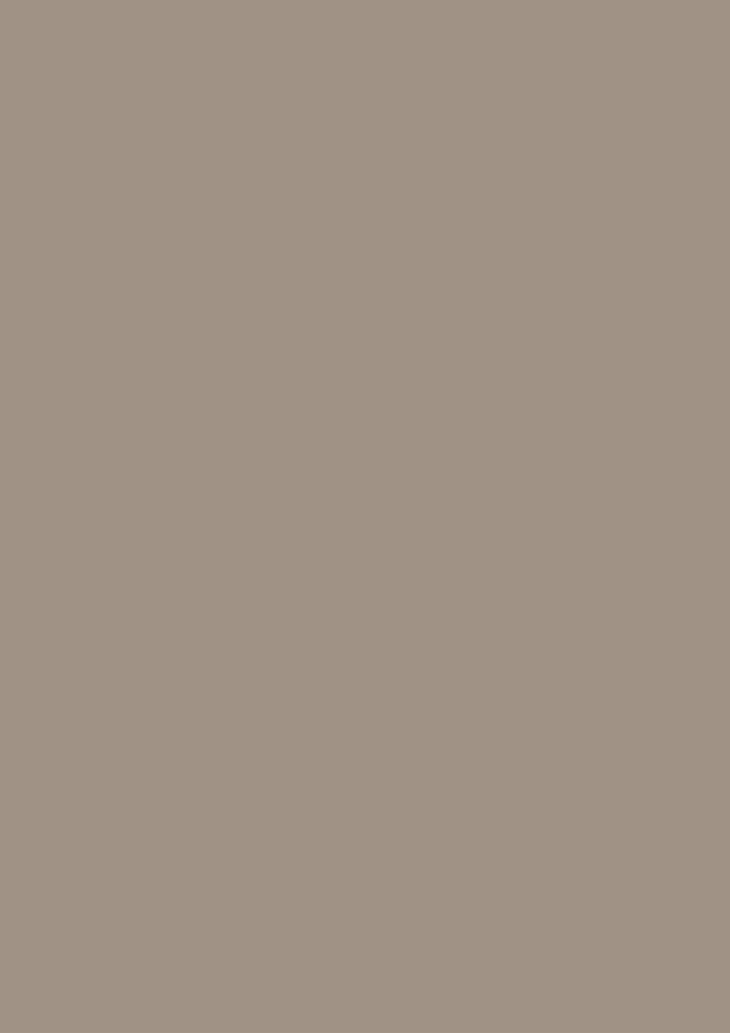 Panneau décoratif Egger Acacia de Lakeland crème 5