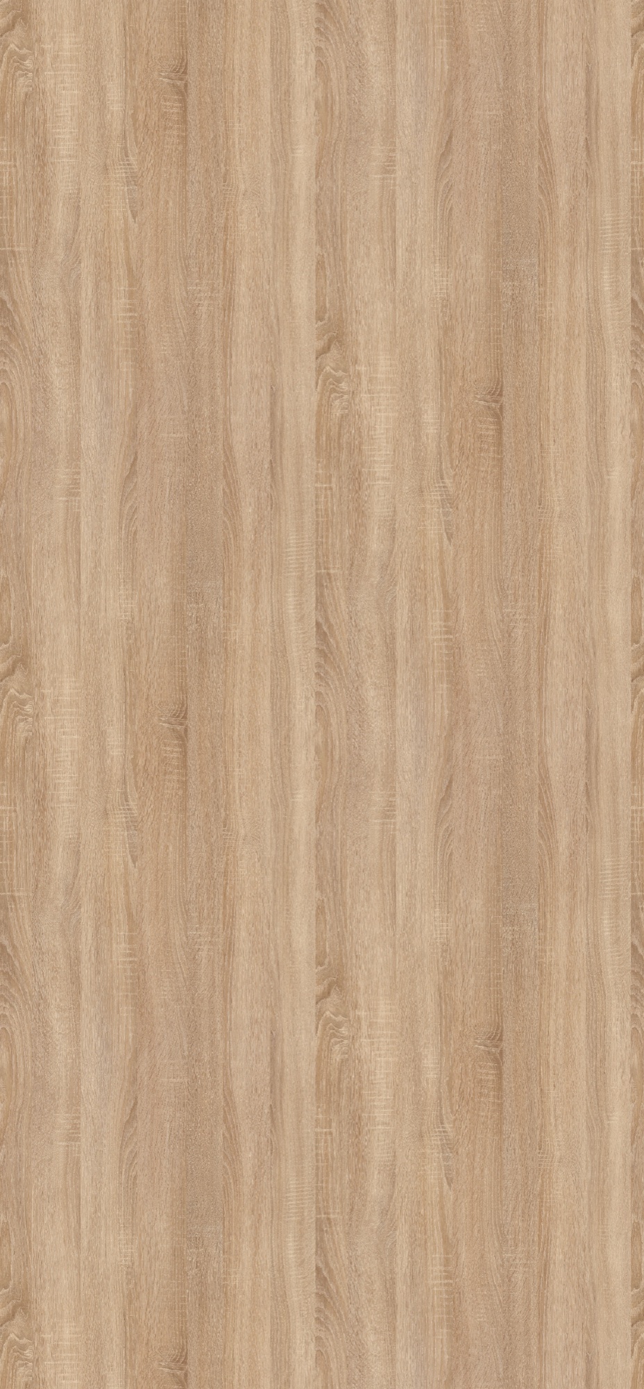 Panneau décoratif Egger Chêne Bardolino naturel