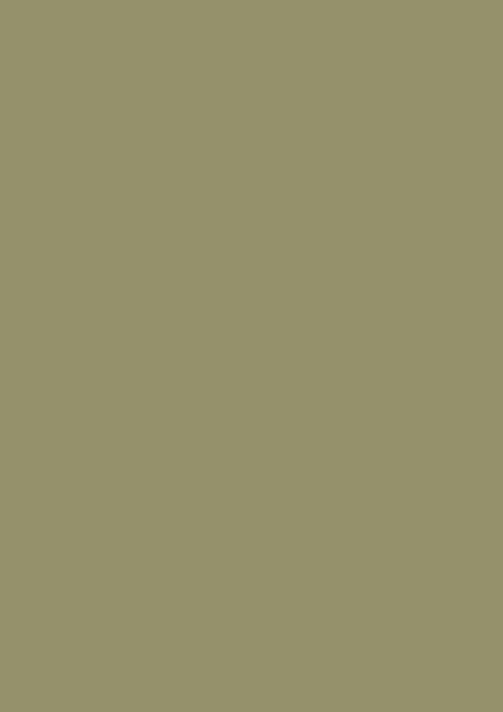Panneau décoratif Egger Acacia Sheffield naturel 5