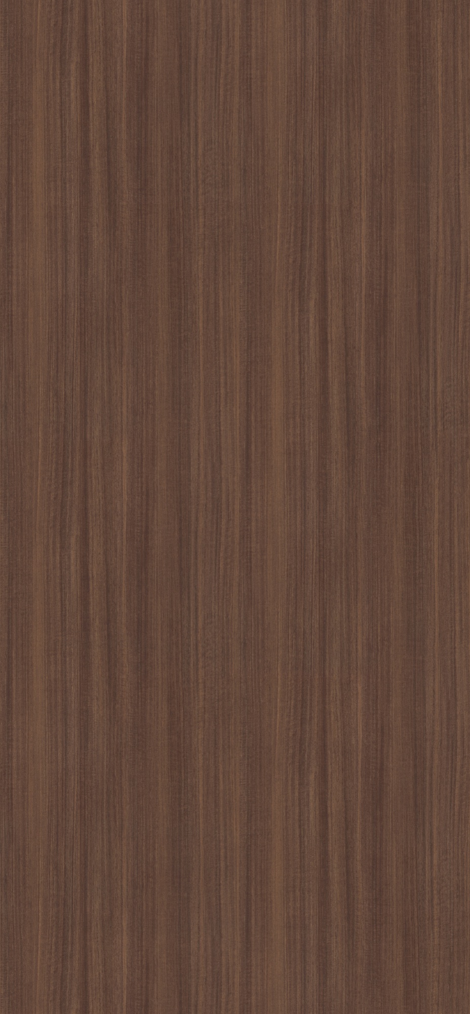 Panneau décoratif Egger Eucalyptus naturel