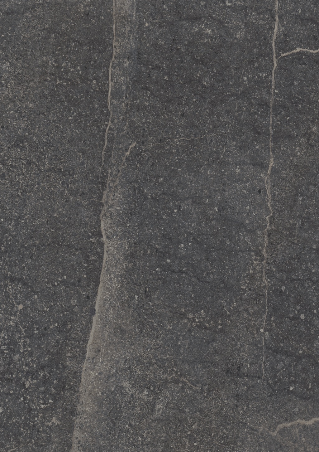 Panneau décoratif Egger Chêne Gladstone sable 5