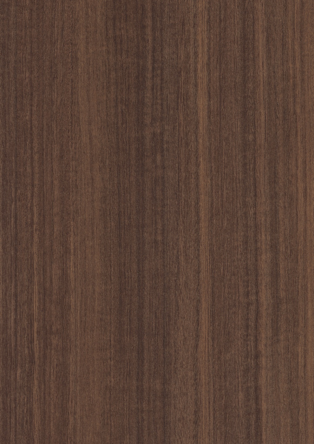 Panneau décoratif Egger Eucalyptus naturel 2
