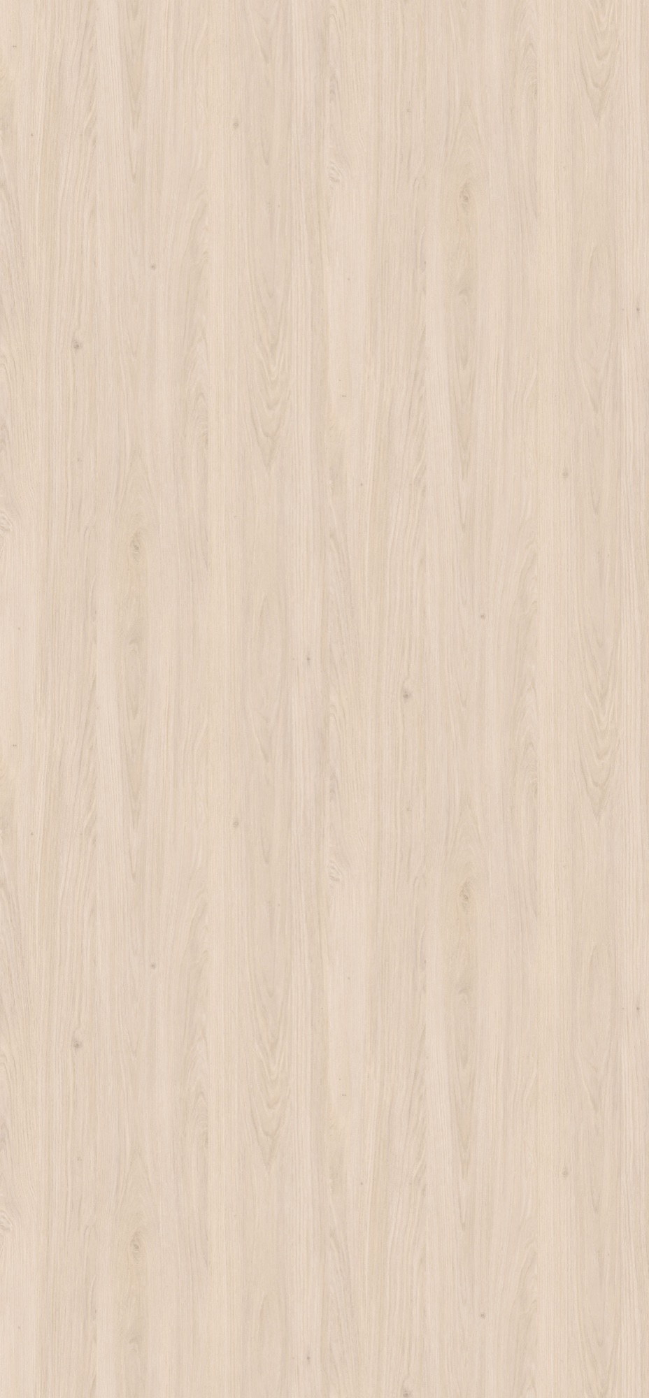 Panneau décoratif Egger Chêne Casella blanc Feelwood Oakgrain