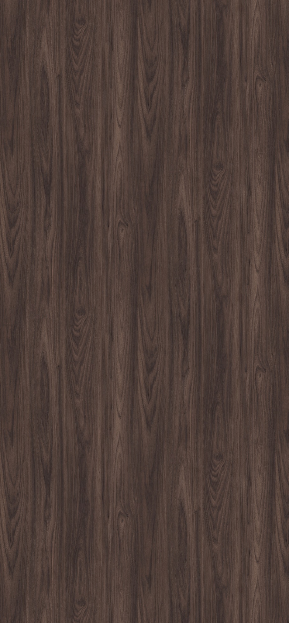 Panneau décoratif Egger Acacia Sheffield graphite
