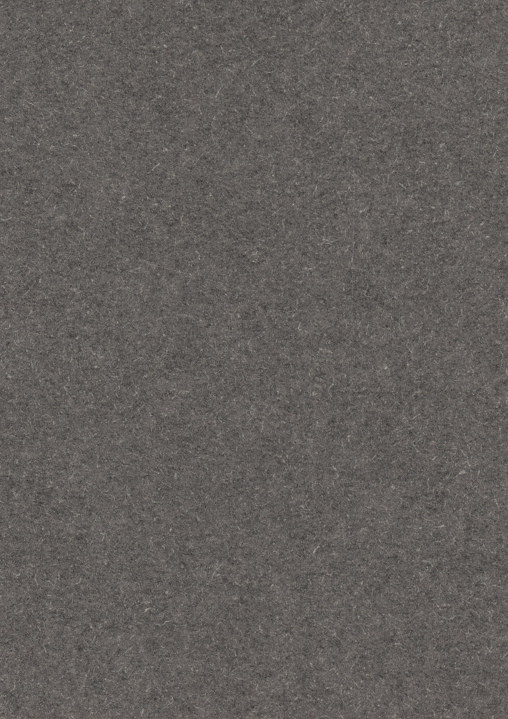 Panneau décoratif Egger Frêne Trondheim Deepskin Rough 5