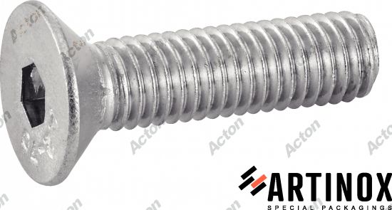 Vis tête fraisée six pans creux ISO 10642 inox A2 Acton