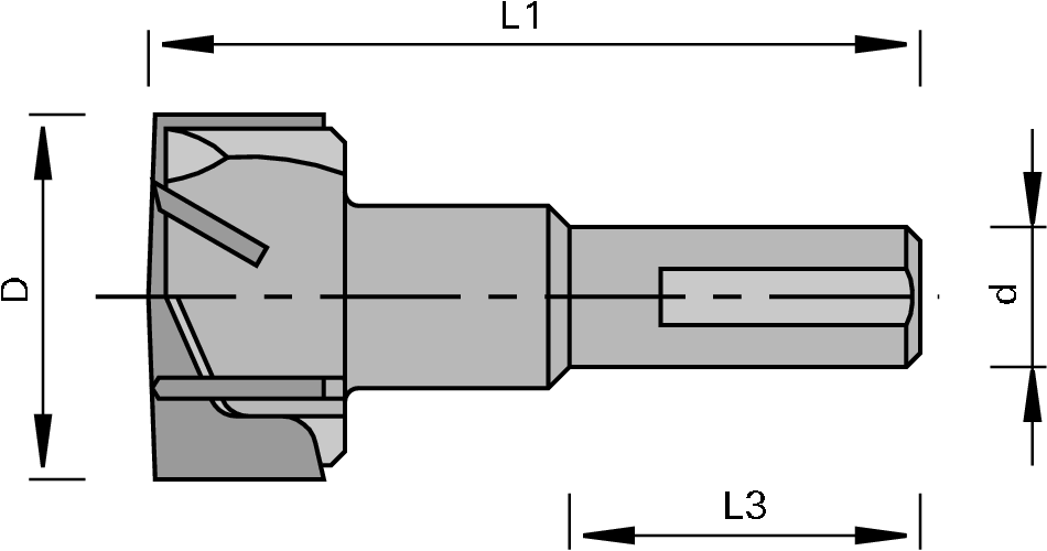 Mèche à tête cylindrique HW LEUCO - Z=3+3 2