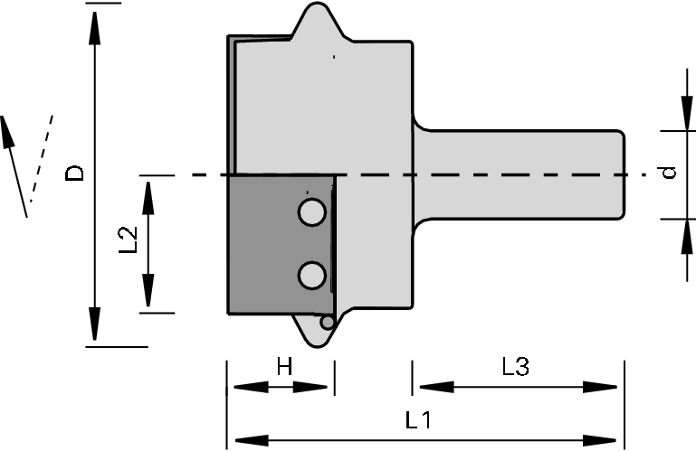 Porte-outils à queue EcoPro HWpour grandes rainures décoratives - Z2 2