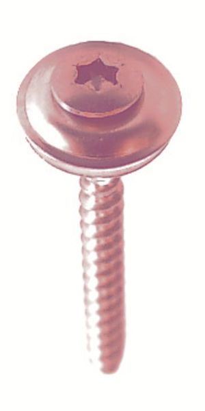 Vis à bois inox BWK avec rondelle d'étanchéité EPDM 2