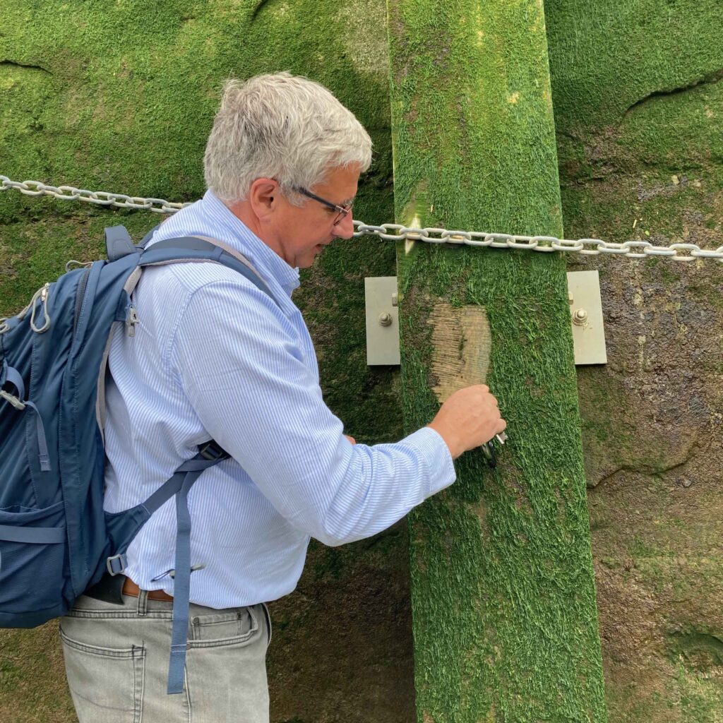 L'Accoya utilisé pour des berges au bord de la Tamise