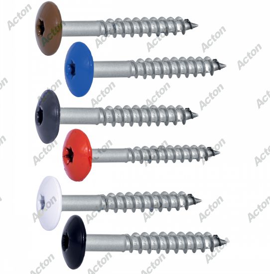 Vis de facade tête cylindrique extra large six lobes inox A2 Acton 4