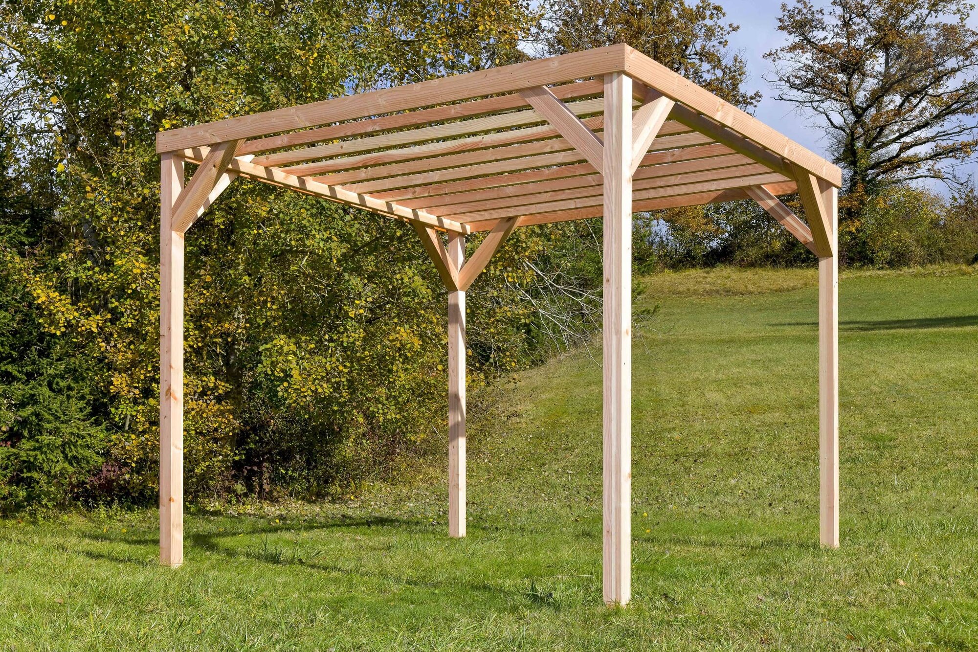 Pergola en kit bois Douglas Brikawood 3