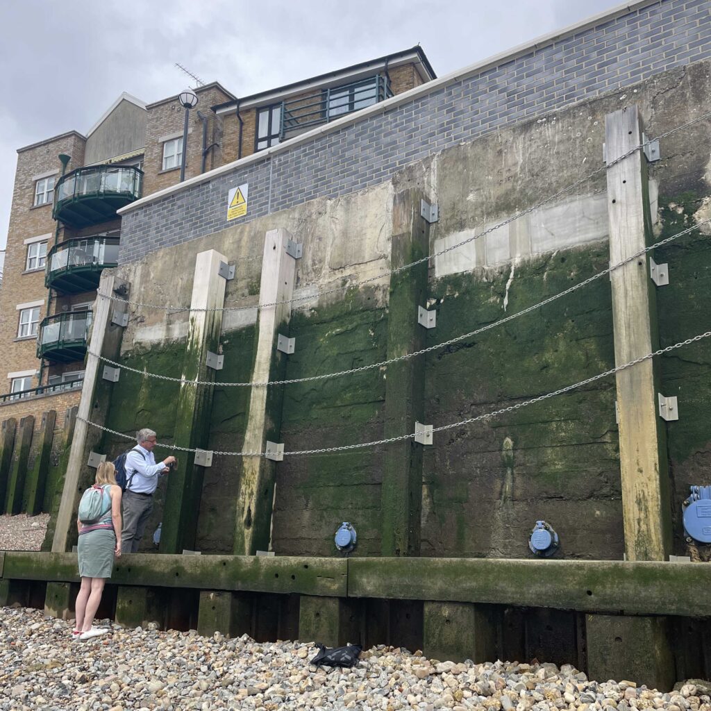 L'Accoya utilisé pour des berges au bord de la Tamise