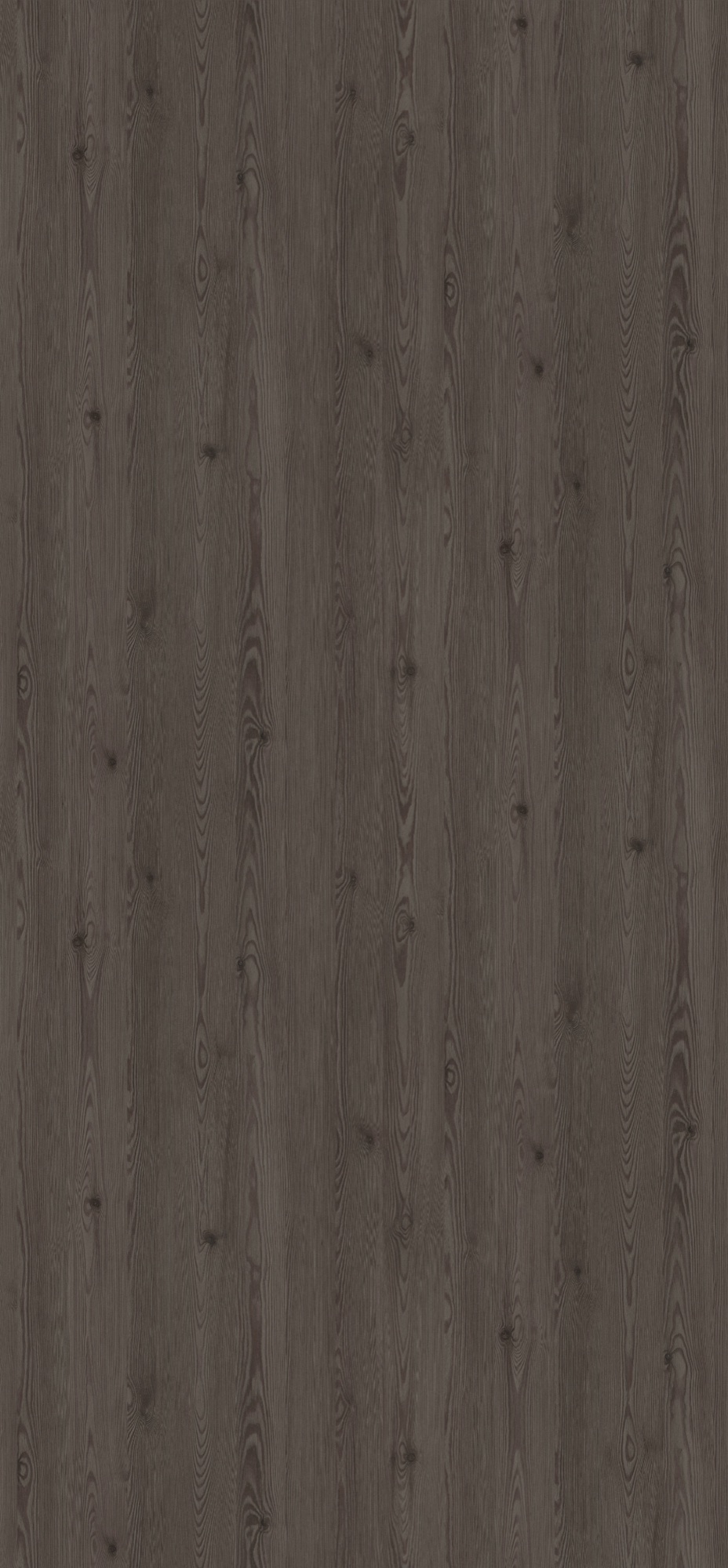 Panneau décoratif Egger Mélèze anthracite