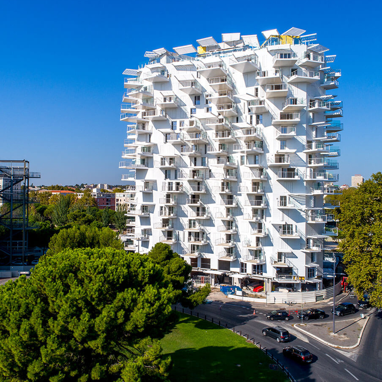 L'Arbre Blanc