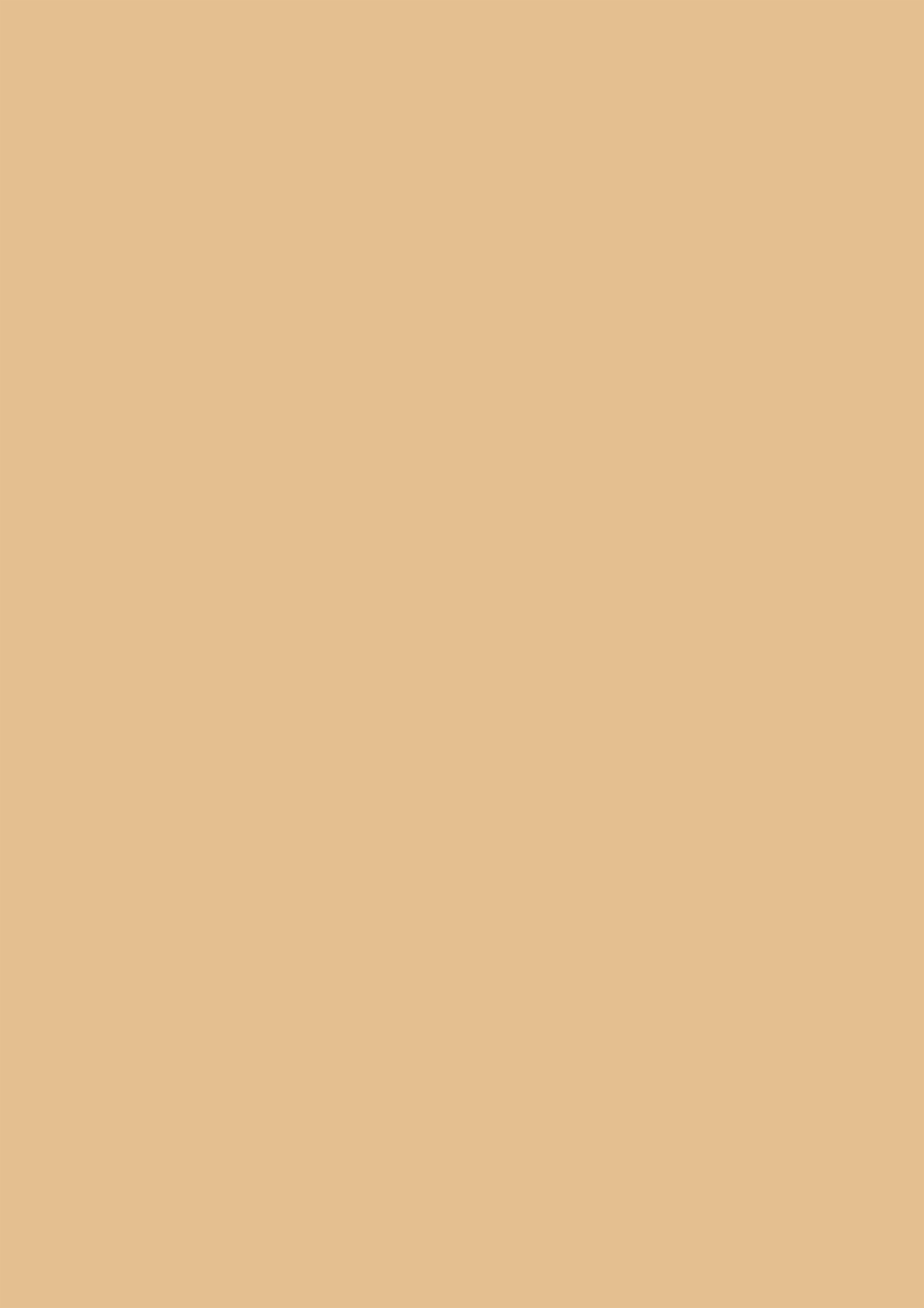 Panneau décoratif Egger Chêne Belmont marron 5