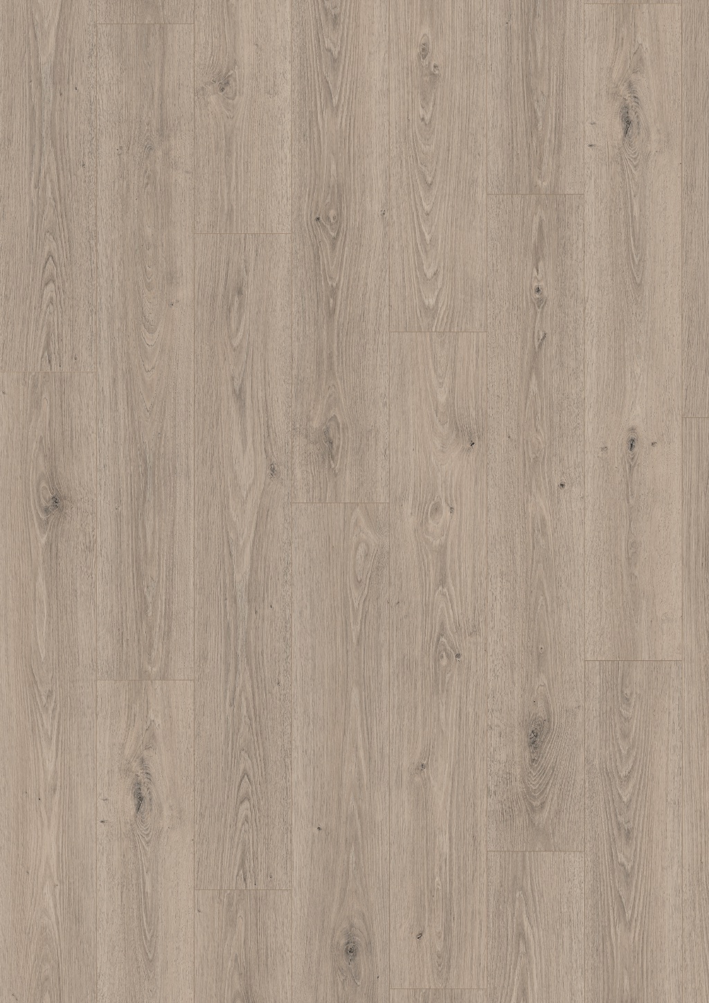 Lame de sol stratifié hydrofuge EGGER Grey Treviso Oak
