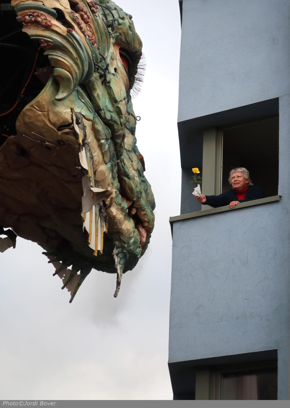 Le Dragon de Calais : le bois Accoya au service de l'imaginaire