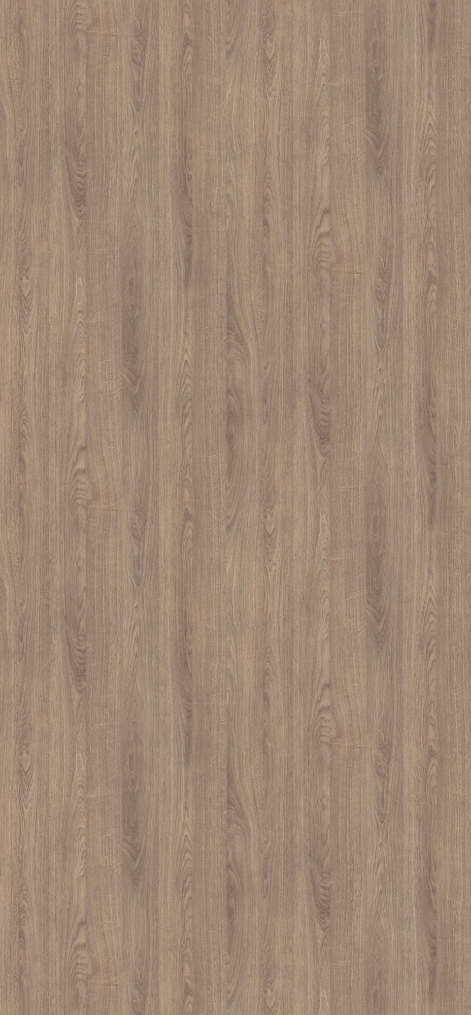 Panneau décoratif Egger Chêne Corbridge gris Omnipore Matt