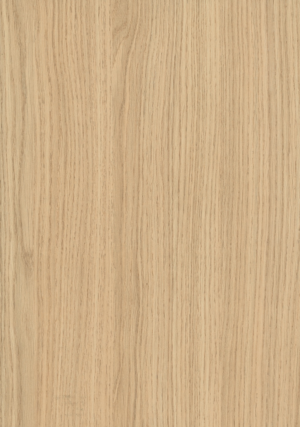 Panneau décoratif Egger Chêne Vicenza Smoothtouch Matt 2