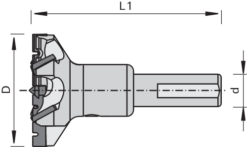 Mèches à tête cylindrique DP LEUCO