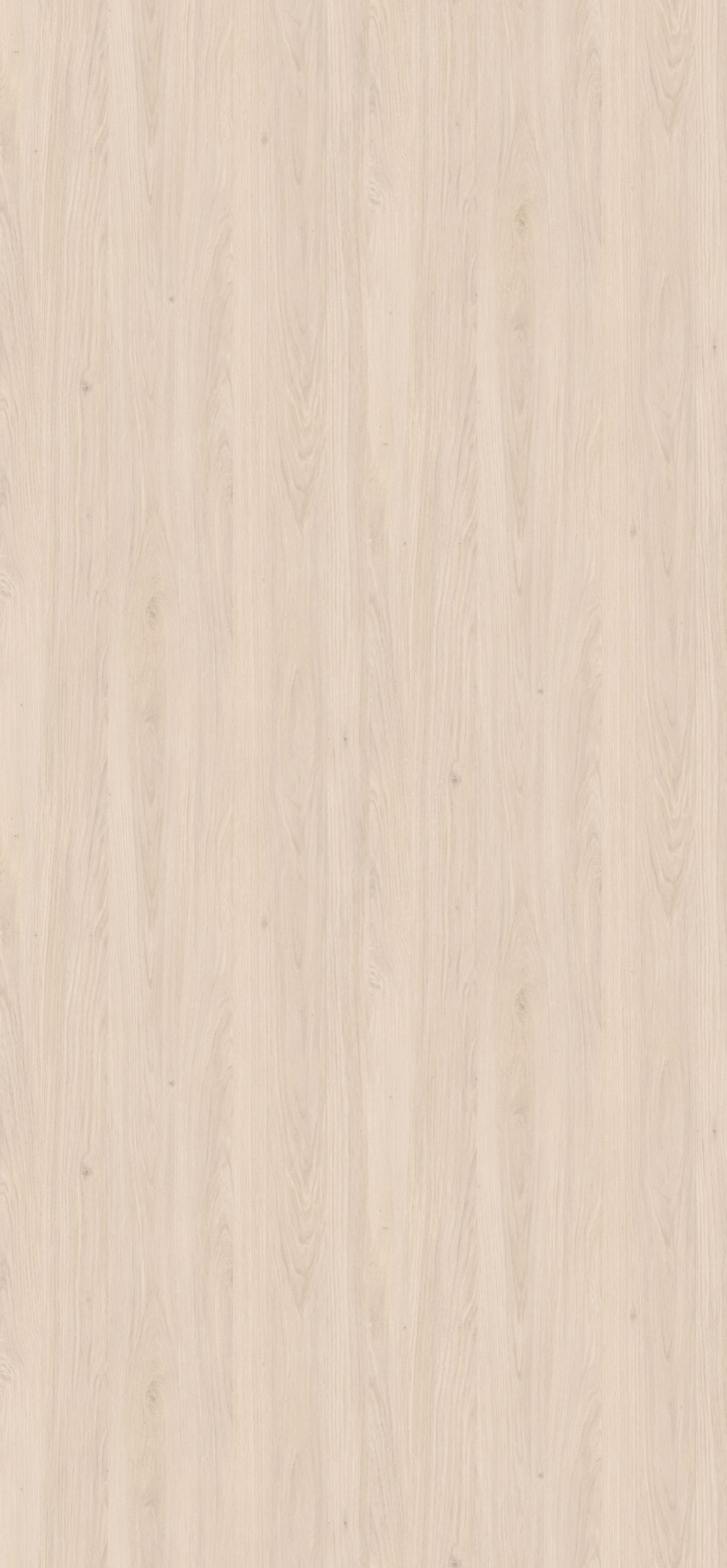 Panneau décoratif Egger Chêne Casella blanc Omnipore Oiled