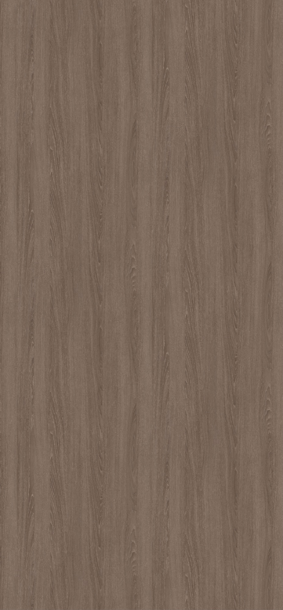 Panneau décoratif Egger Chêne d'Orléans taupe
