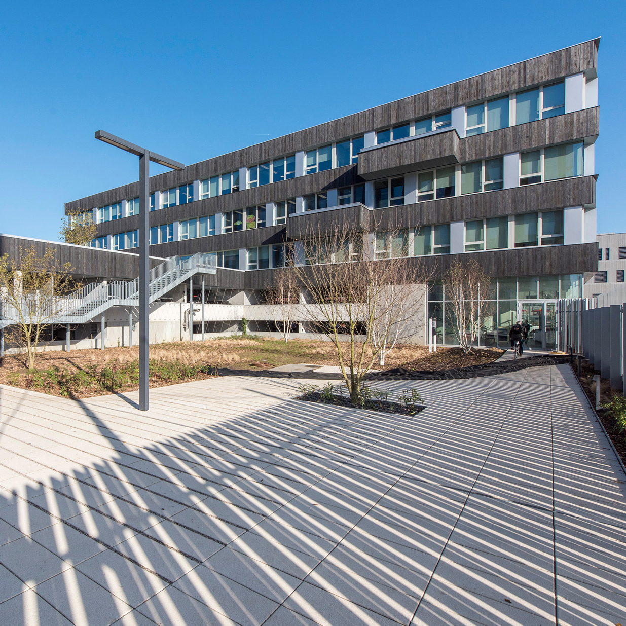Bardage bois brûlé pour IBM à Lille
