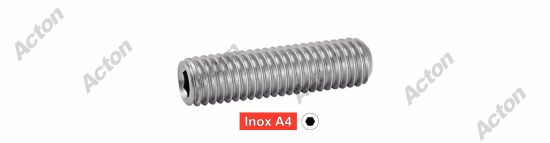 Vis sans tête ISO 4029 six pans creux bout cuvette inox A4 Acton