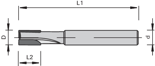 CM030 Fraise Z2 DP LEUCO 2