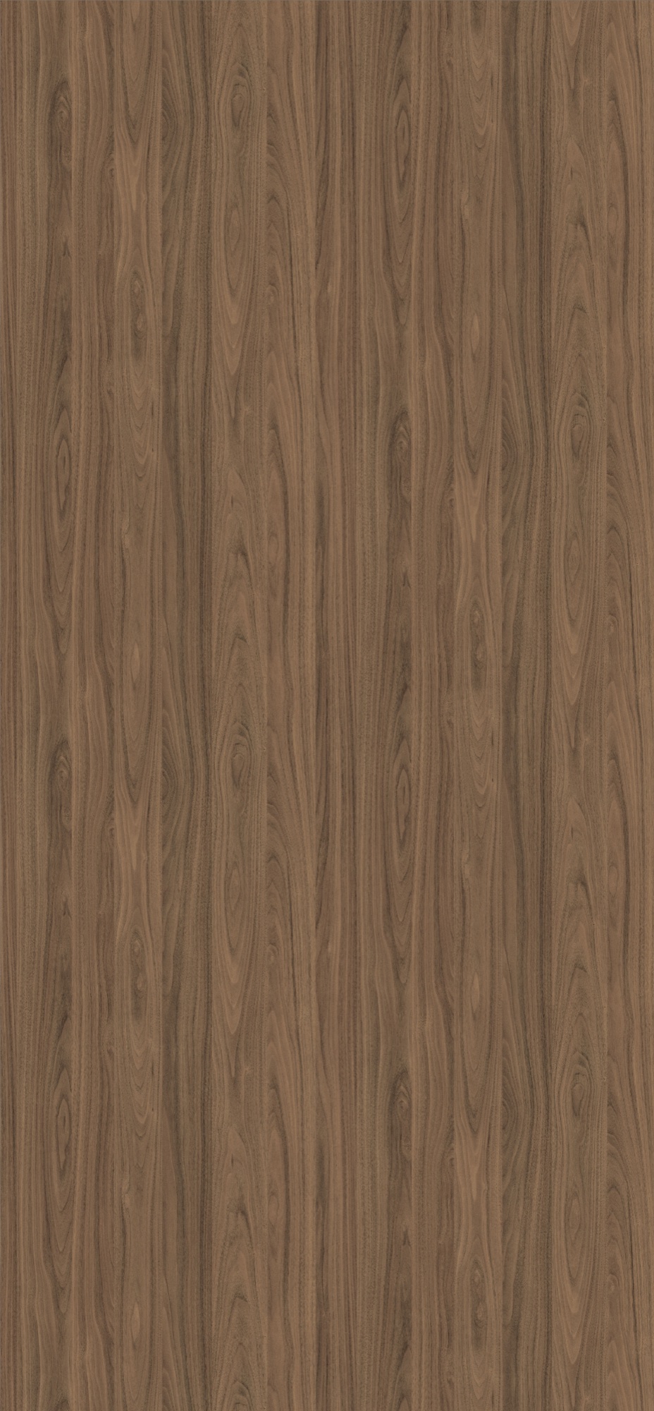 Panneau décoratif Egger Noyer Carini naturel Smoothtouch Matt