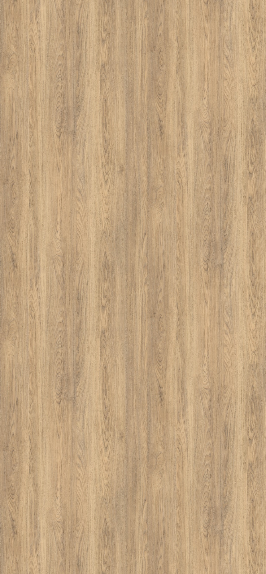 Panneau décoratif Egger Chêne Rovato naturel clair