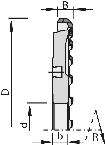 Déchiqueteurs DP PowerTec 5s airFace pour s-System LEUCO Ø 160 mm (DZ) 2