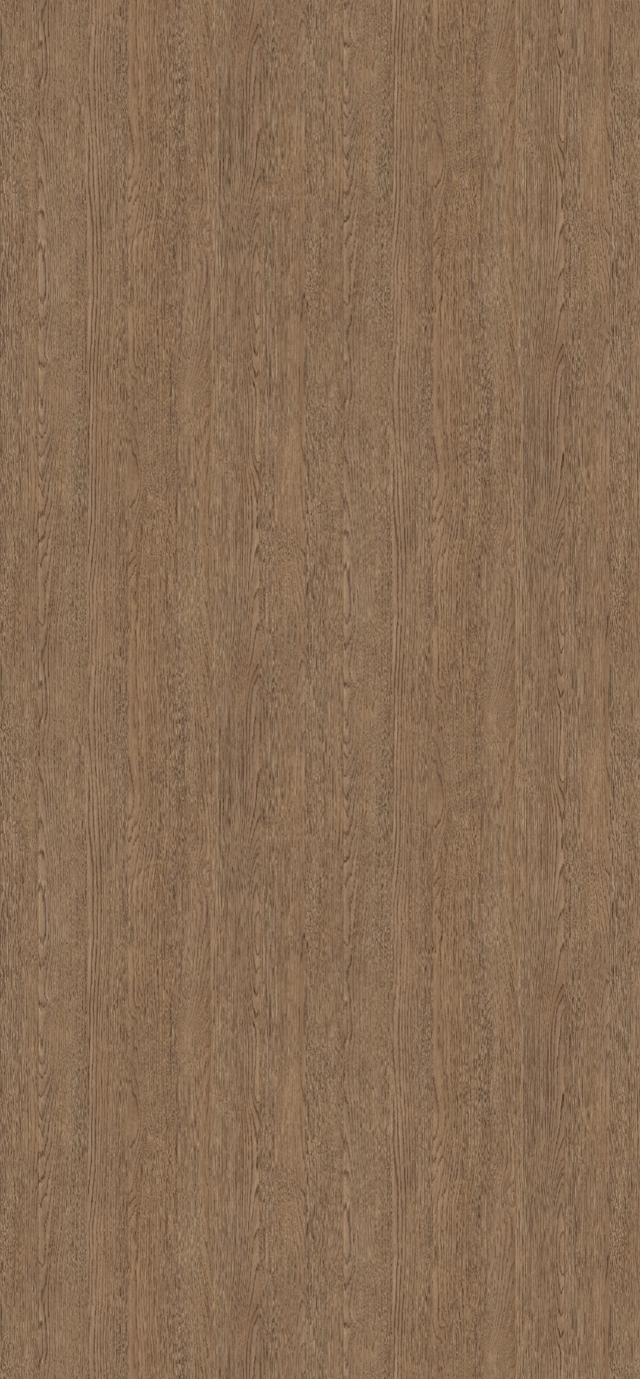 Panneau décoratif Egger Chêne Belmont marron