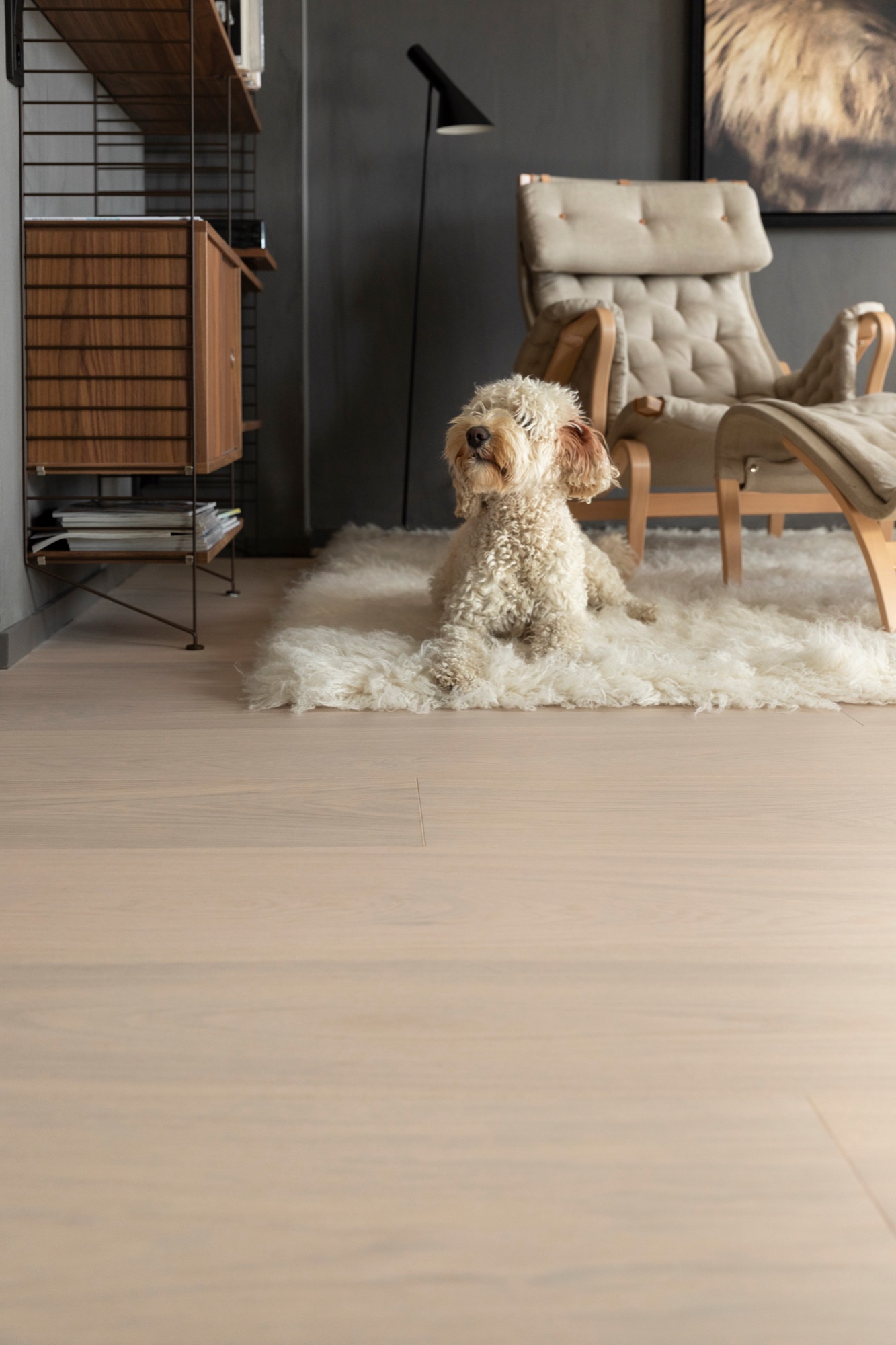 Lame de parquet hybride Bjelin Woodura Vistorp chêne Powder White 5