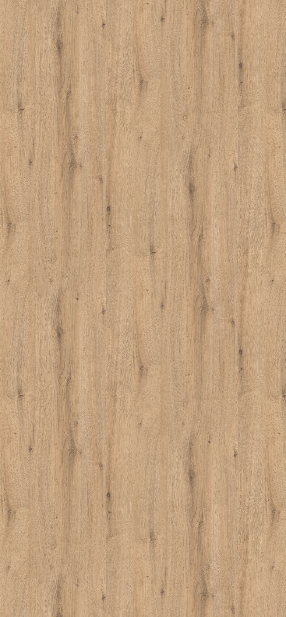 Panneau décoratif Egger Chêne Davenport naturel clair