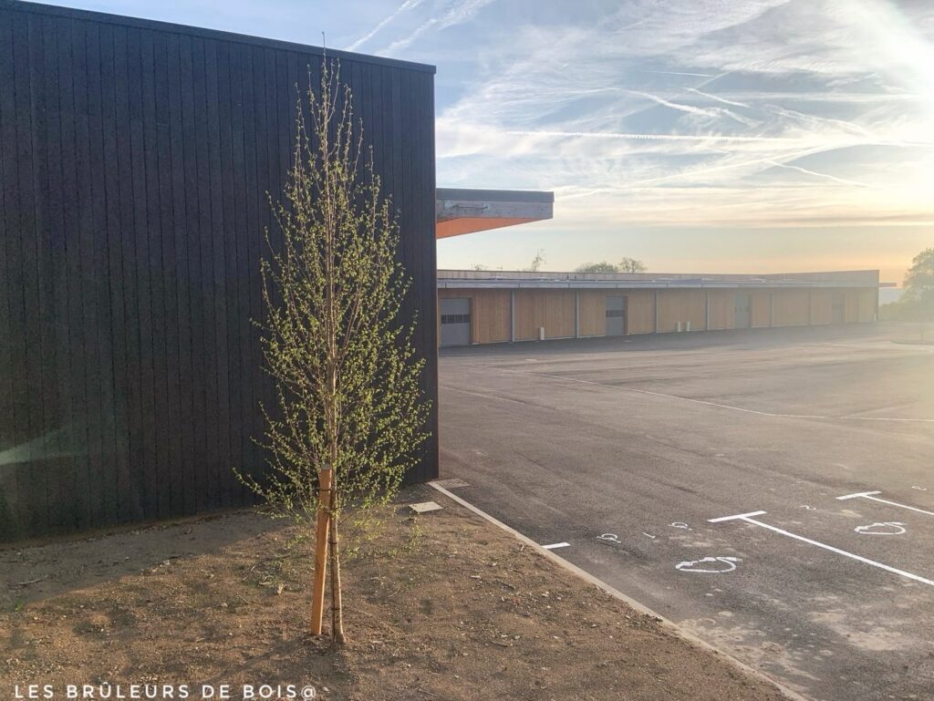 ESTER'UP à Limoges : un bardage bois brûlé en Accoya