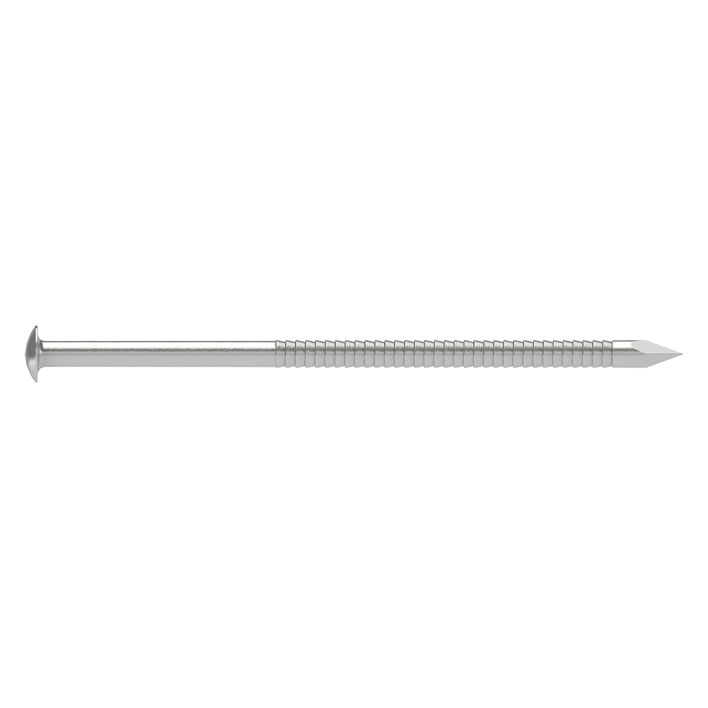 MKSA4 Pointe annelée tête bombée - Inox A4 2