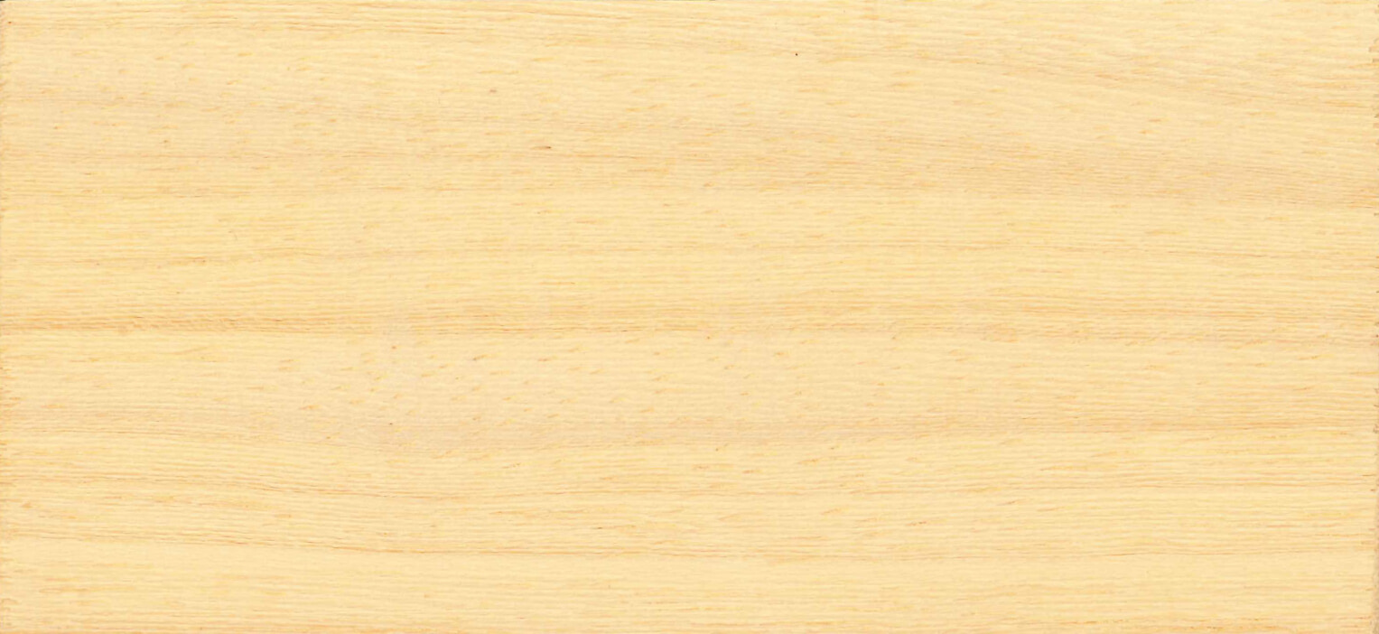 Sciage Koto