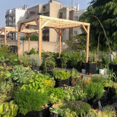 Pergolas en Douglas français