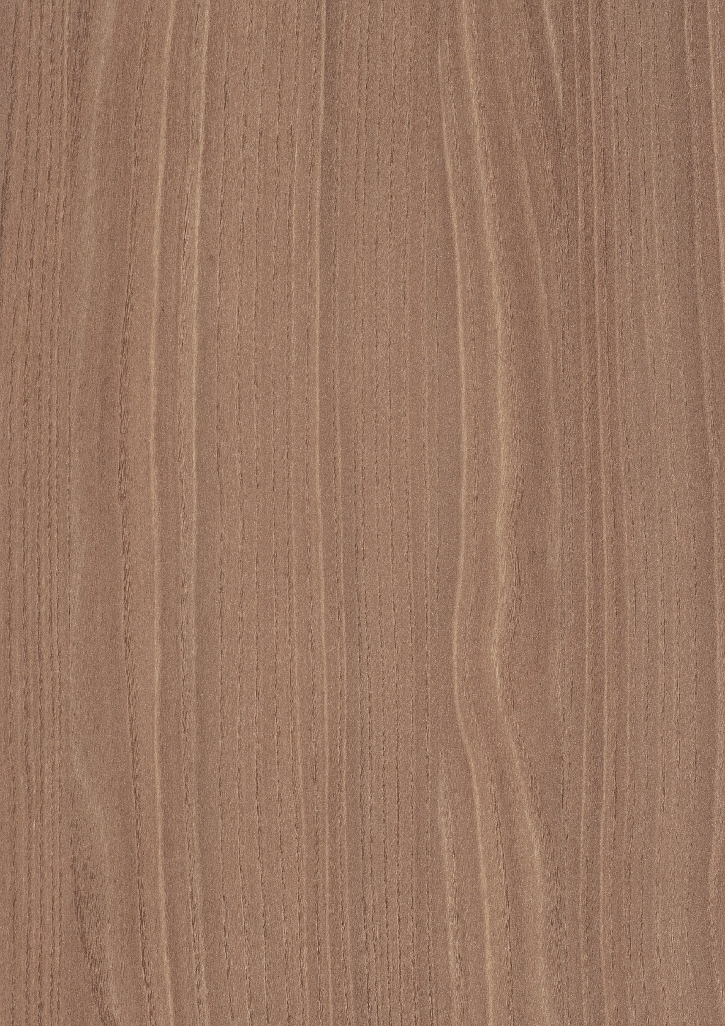Panneau décoratif Egger Bolivar Wood naturel 2