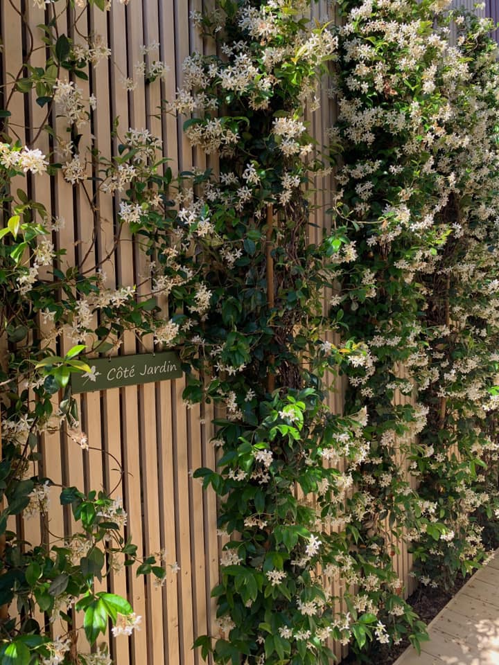 Terrasse en Accoya à Arcachon : esthétique et durable
