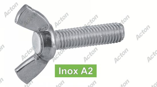 Vis à à oreilles forme americaine inox A2 Acton
