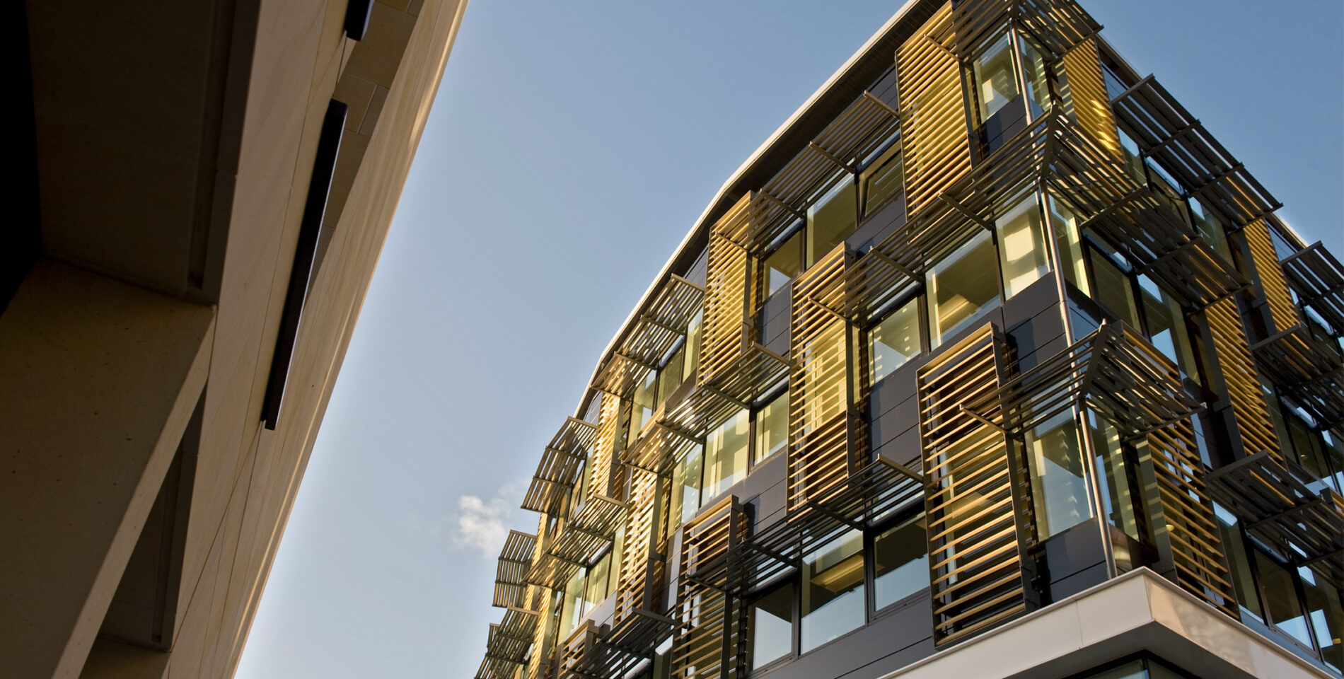 Des brise-soleil en bois Accoya pour des bureaux