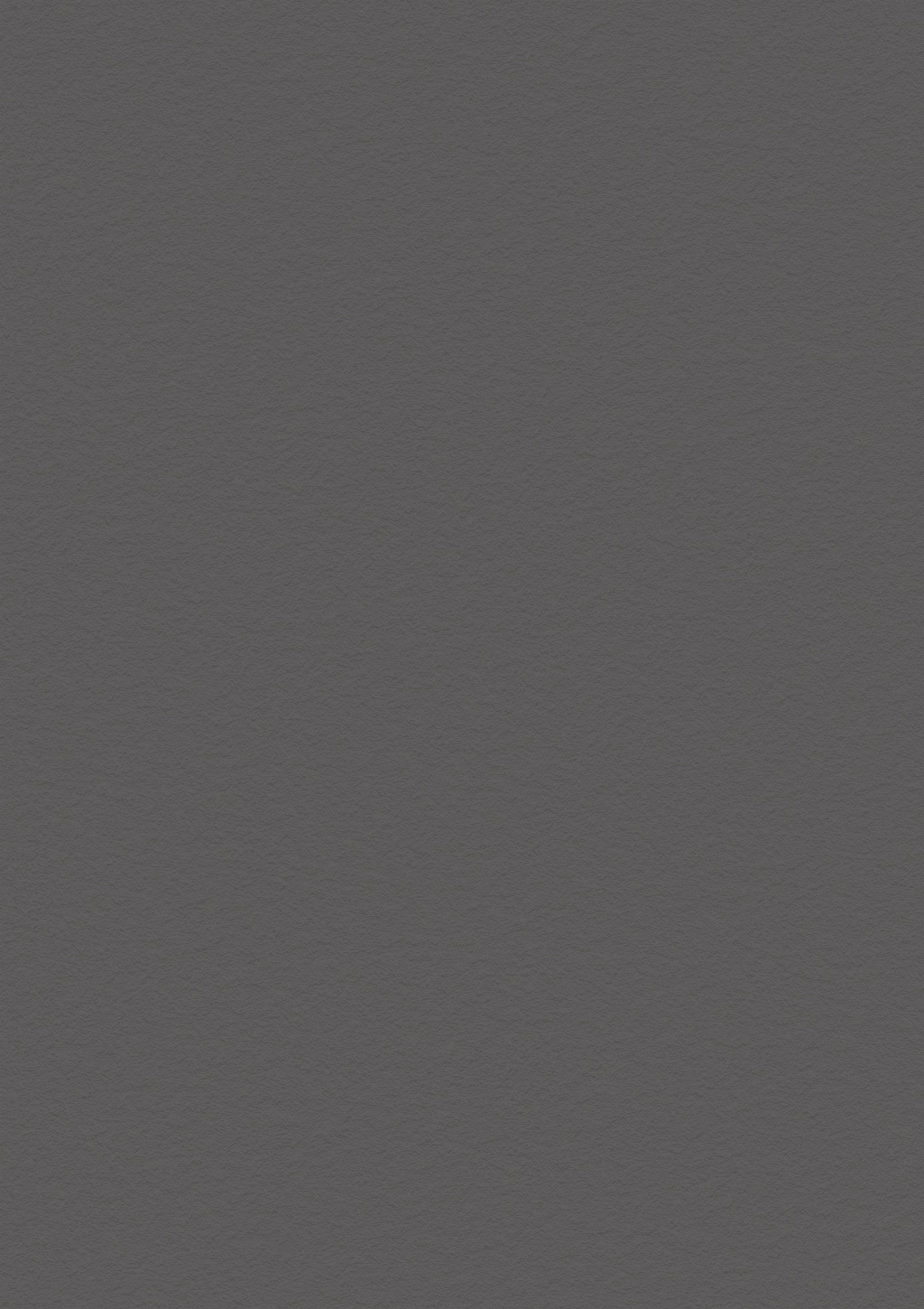 Panneau décoratif Egger Chêne Corbridge gris Smoothtouch Matt 5