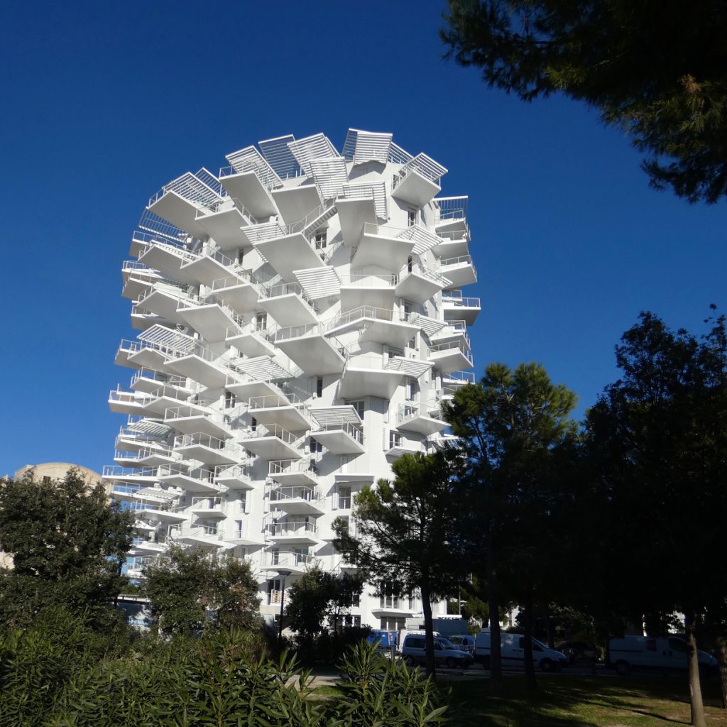 L'Arbre Blanc