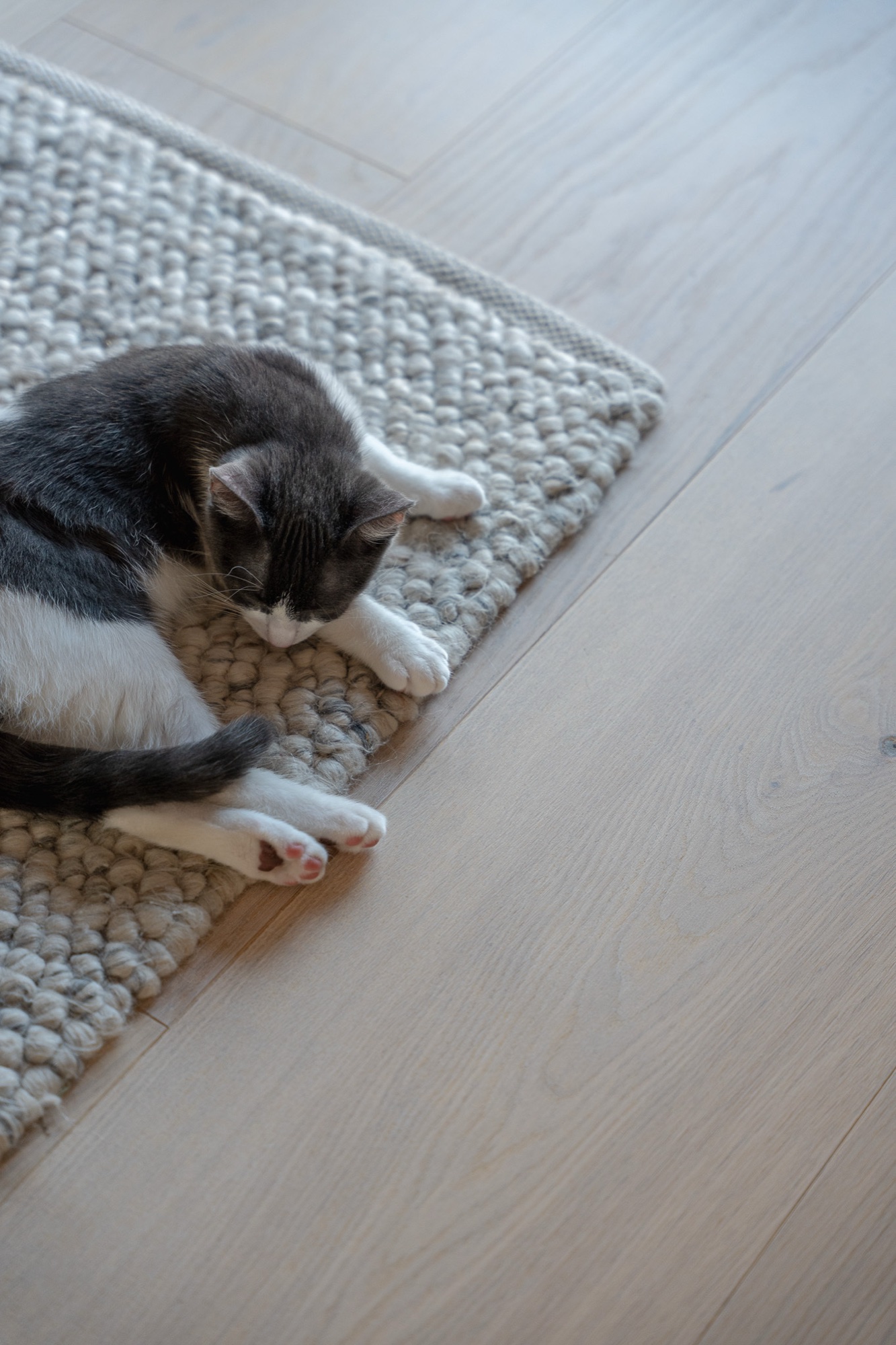 Lame de parquet hybride Bjelin Woodura Dalby chêne Powder White 4