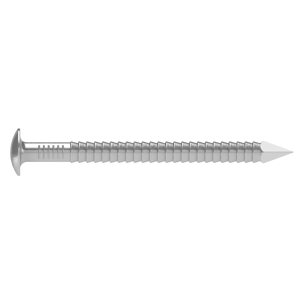 ARA4 Pointe annelée tête bombée - Inox A4 2